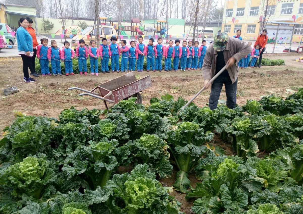 简略、通顺、有吸引力的标题：金铲铲之战农场帝国，丰富玩法，简单操作！