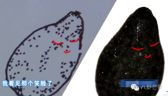 最强大脑第二季水哥视频_最强大脑水哥个人资料_最强大脑里面的水哥是哪一期