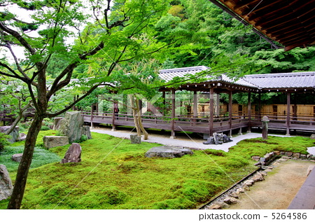 高山走廊伐木场和竞技场_高山伐木索道价格_高山走廊伐木场