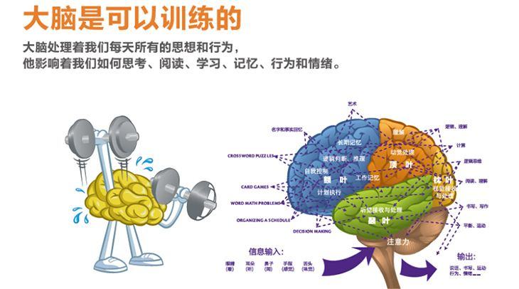 最强大脑歌手选手_最强大脑水哥个人资料_最强大脑第二季水哥视频