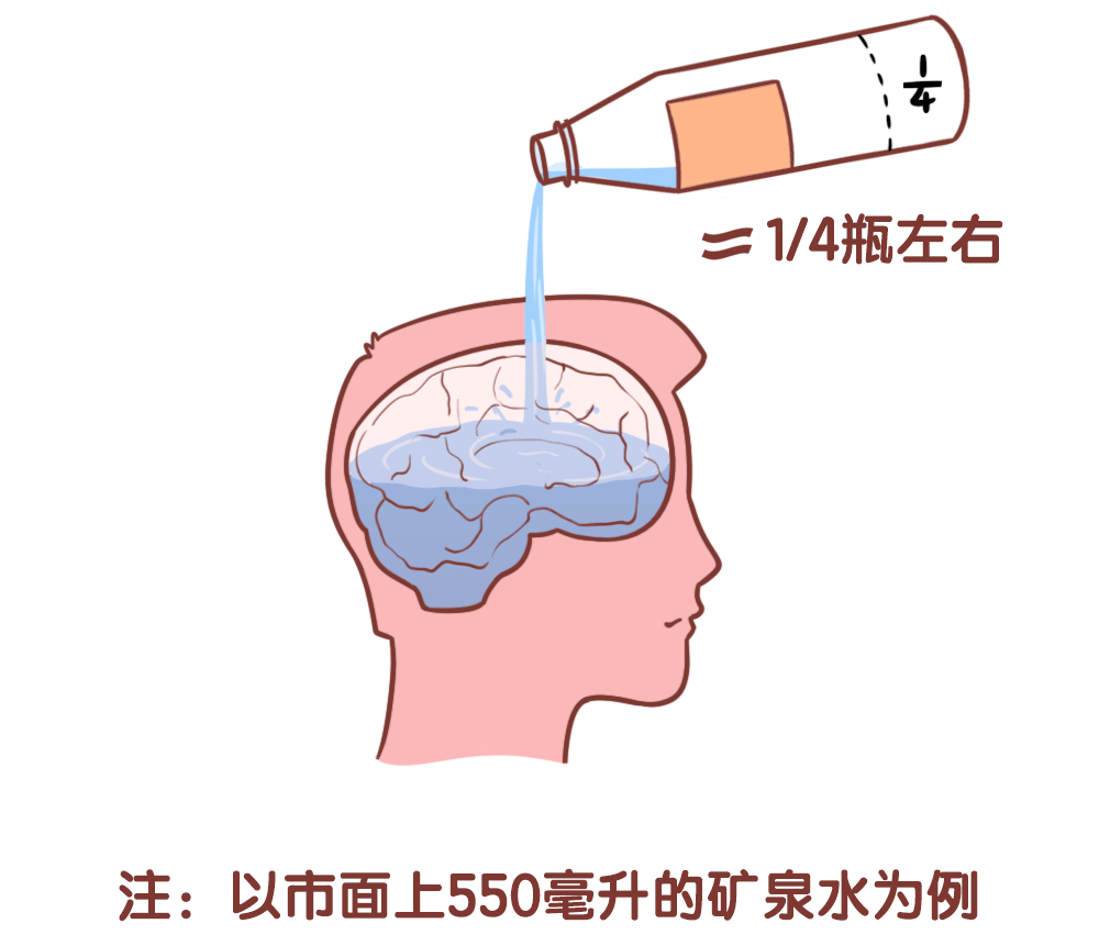 最强大脑里面的水哥是哪一期_最强大脑第二季水哥视频_最强大脑水哥个人资料