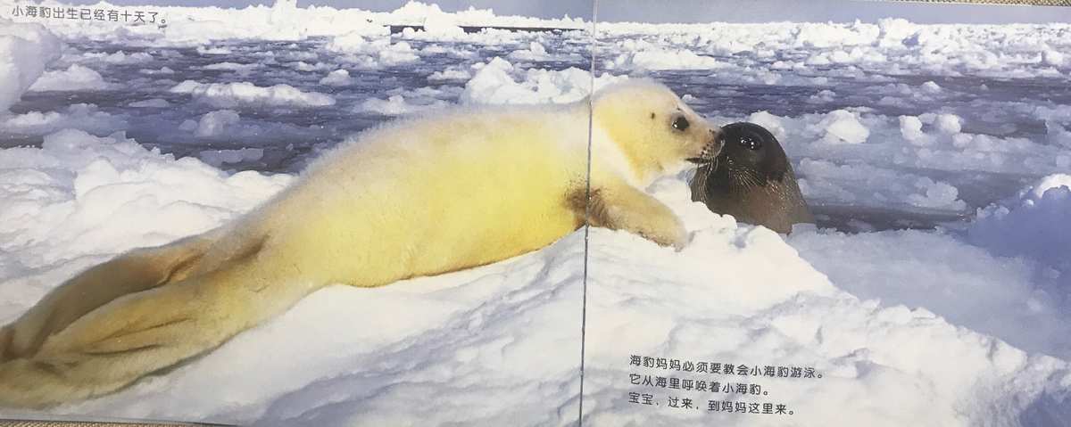 荒岛求生游戏结局_荒岛求生游戏解说_荒岛求生游戏睡觉