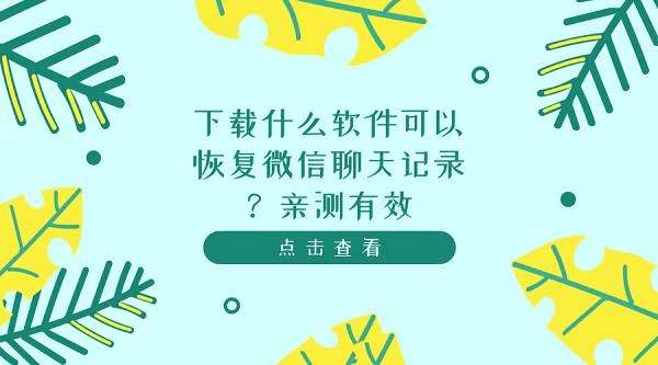 便捷微信性系统：破解森破小子56