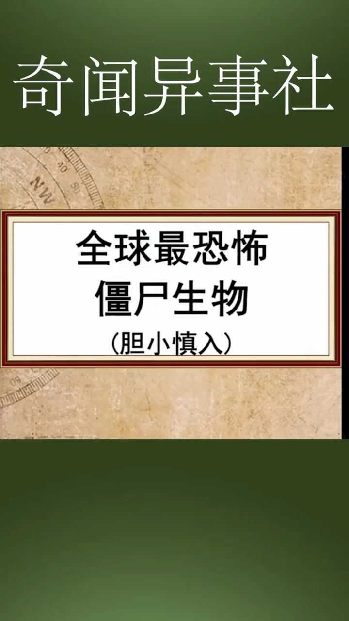 生化危机浣熊市行动闪退_生化危机浣熊市行动ps4_生化危机浣熊市行动玩起来好卡