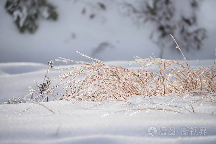 2016年冰雪天使_冰雪天使刘秒杞_冰雪天使