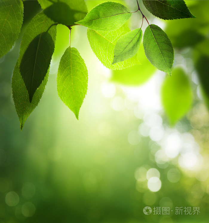 含羞草视频在线观看_观看在线av免费视频_超碰在线公开视频观看