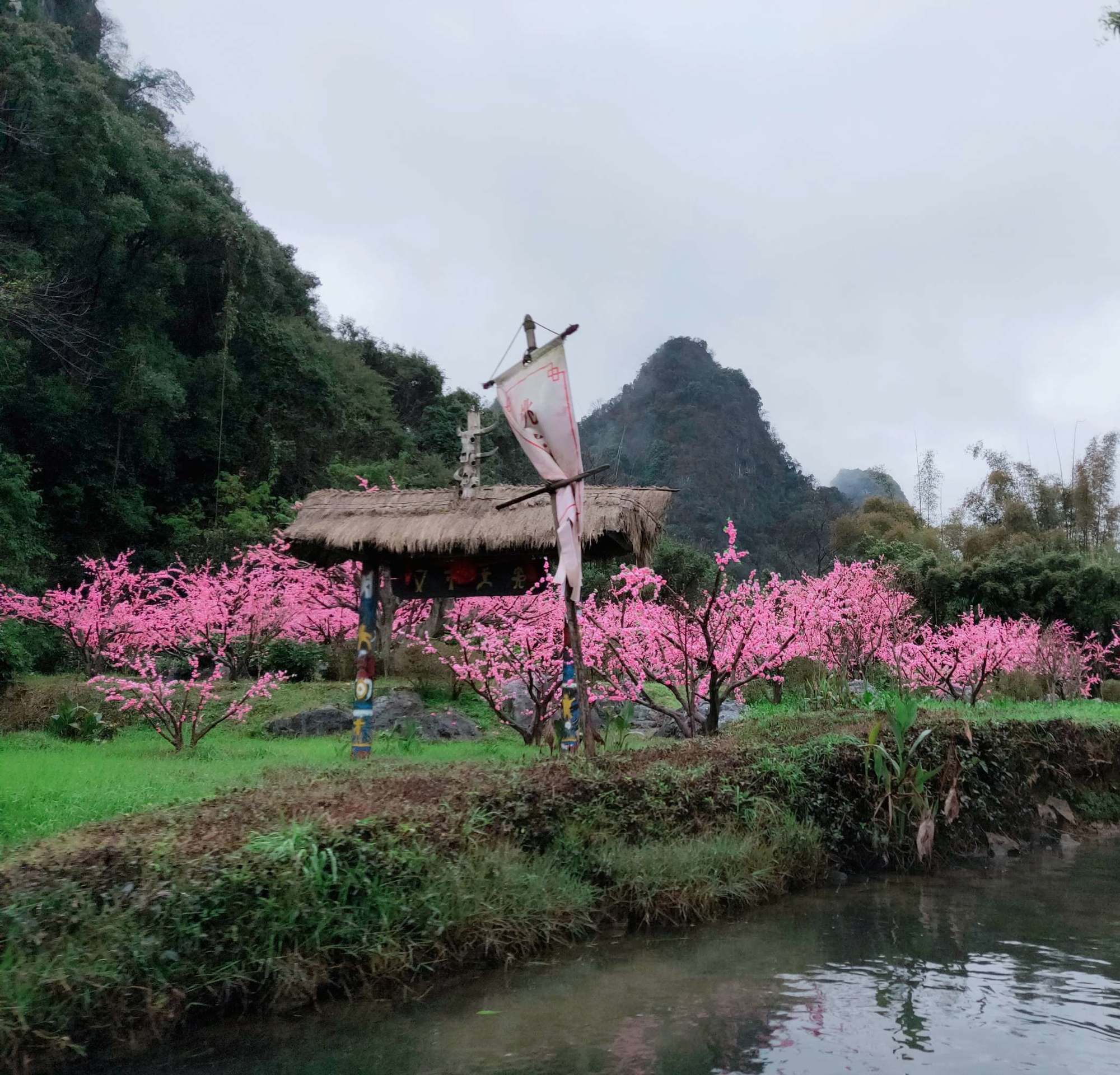 桃源乡_桃源乡村小说免费_桃源乡的救济