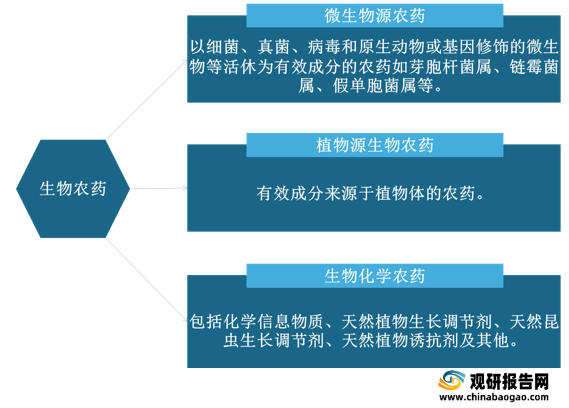 病毒公司_病毒公司_病毒公司