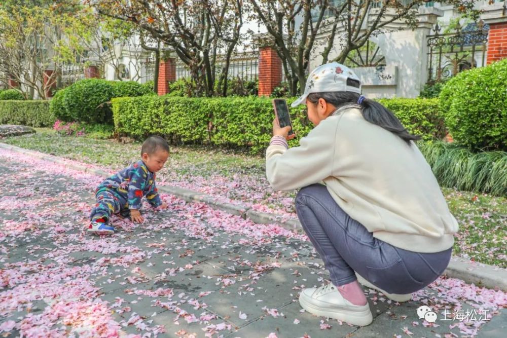 落花限制_落花限制_落花限制