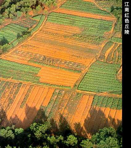 希尔斯布莱德丘陵有什么草药_怀旧服希尔斯布莱德丘陵在哪_希尔斯布莱德丘陵