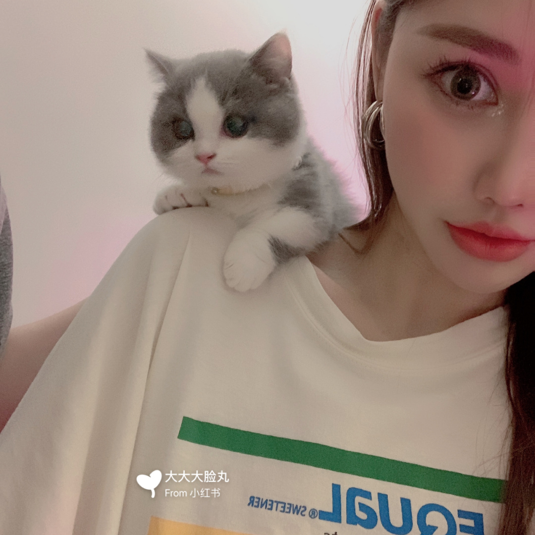 小奶猫app_奶猫小芋头_奶猫小便