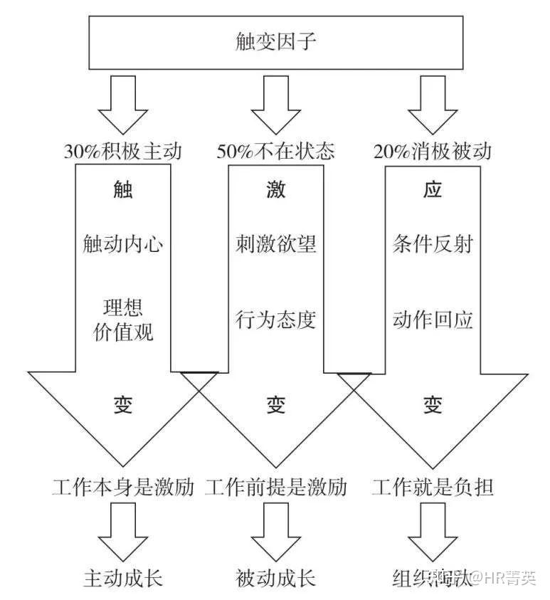 有创造力的单位或公司的管理方式通常是_有创造力的单位或公司的管理方式通常是_有创造力的单位或公司的管理方式通常是