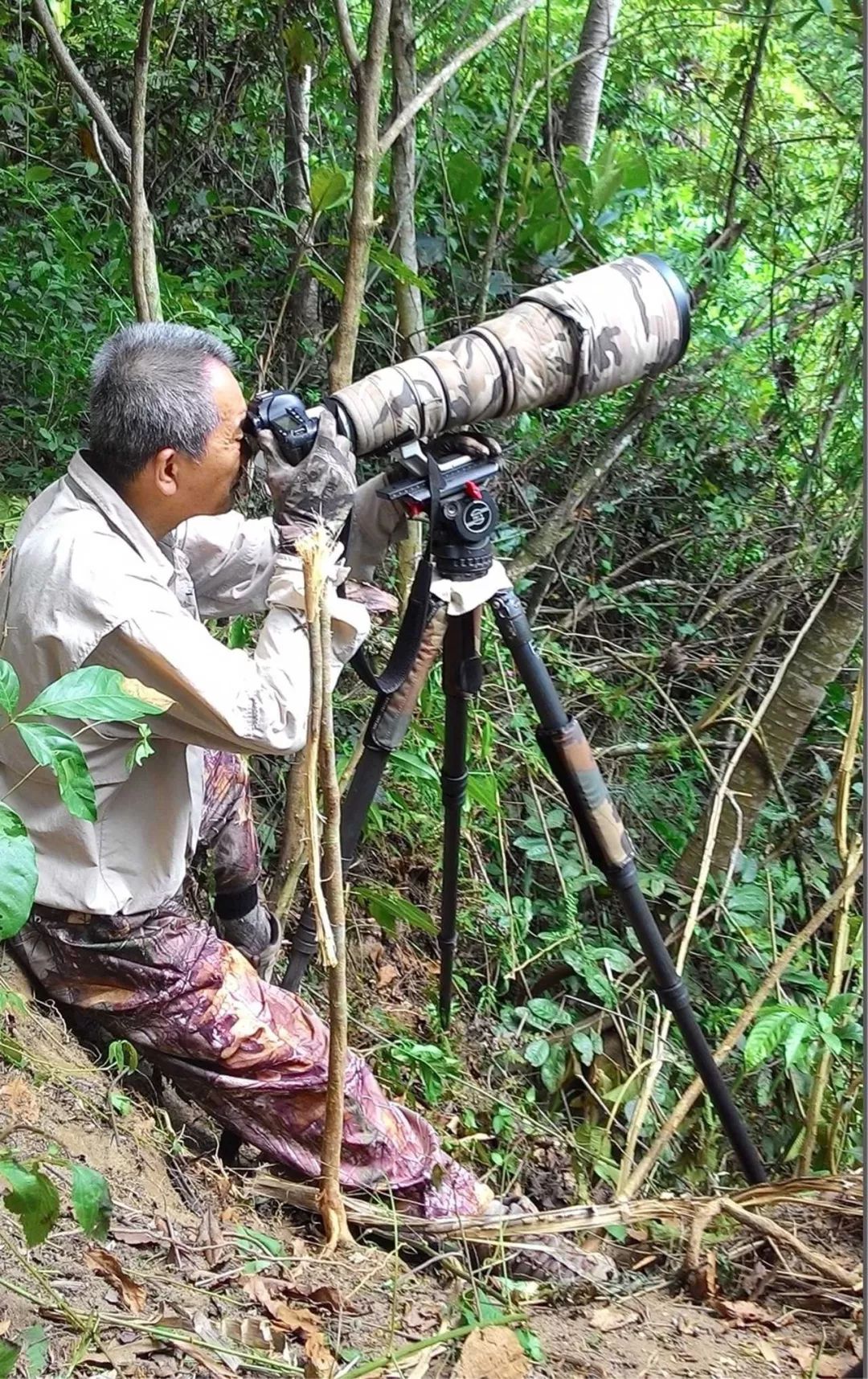 潜水服森林_森林潜水服在哪_森林潜水衣