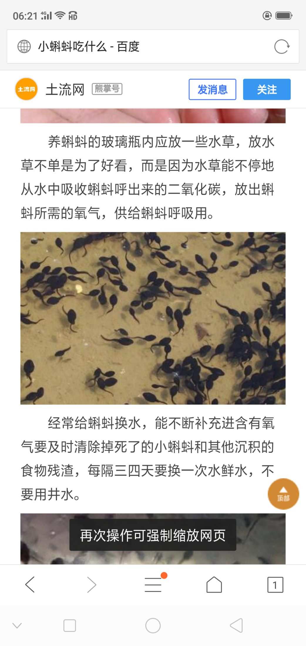 小蝌蚪视频导航_小蝌蚪视频导航_小蝌蚪视频导航