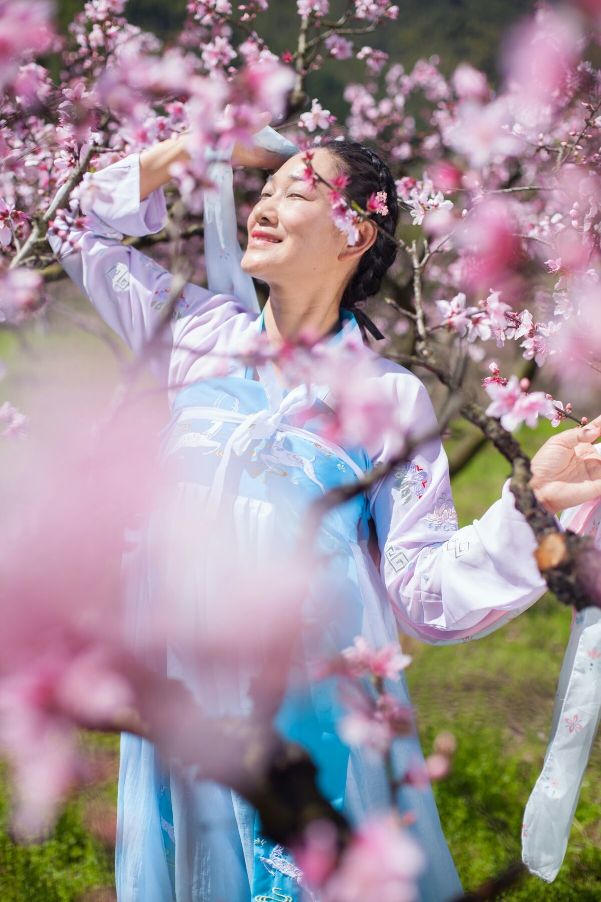 狐狸招桃花还是挡桃花_桃花妖_桃花族桃花族论坛