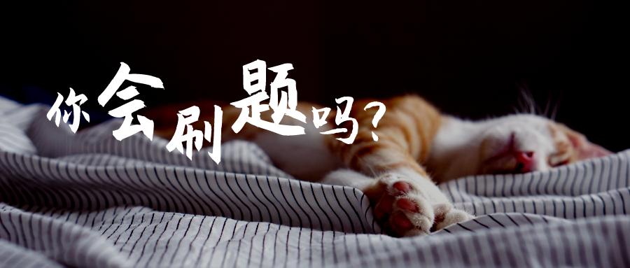 刷题猫_刷题猫_刷题猫