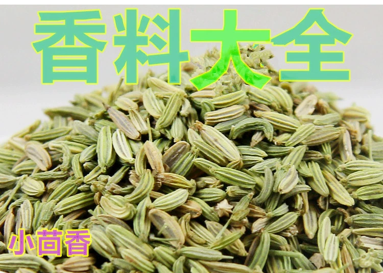 茴怎么读_茴茴_茴茴