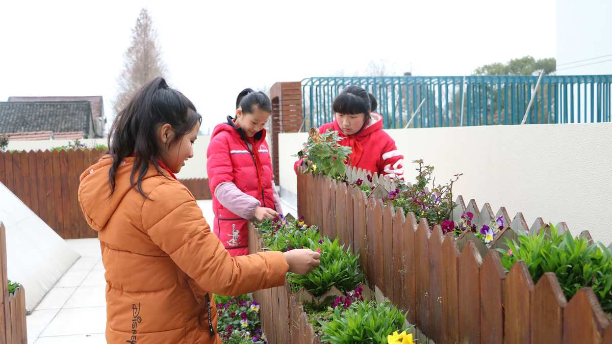 谢语花_谢语花_谢语花