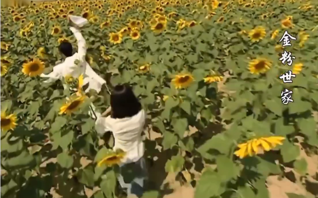 视频向日葵在线看免费_视频向日葵在线看_向日葵视频在线看