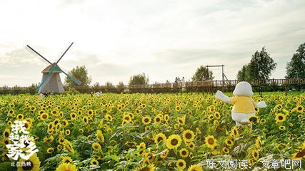 向日葵视频在线看_视频向日葵在线看免费_视频向日葵在线看