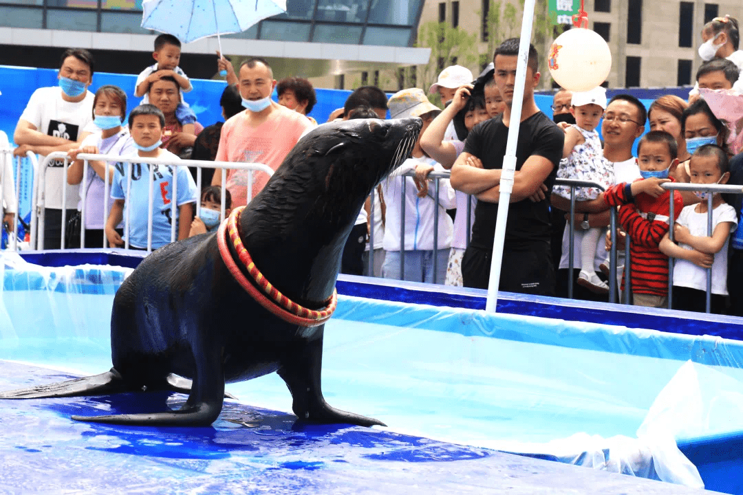 九色鹿上最佳路线_九色鹿上怎么选路线_九色鹿下路线