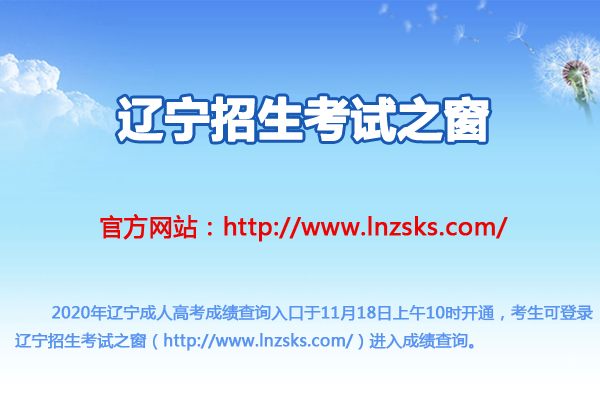 辽宁教育招生考试院官网_辽宁招生考试院官网查询_辽宁招生院官网考试教育网