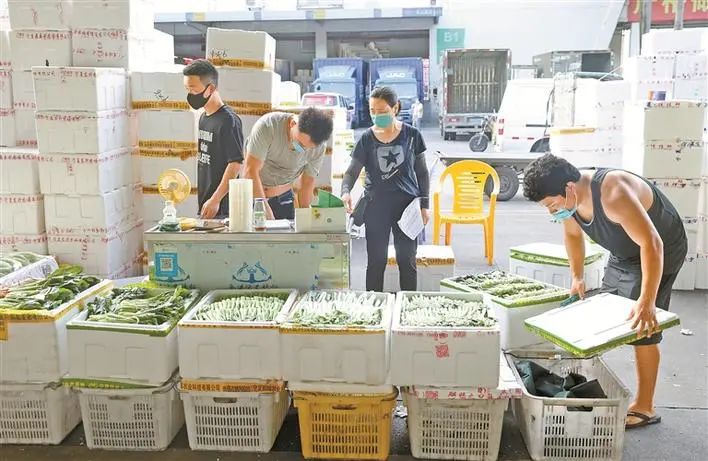 农批_批农村住宅基地有什么规定_批农货