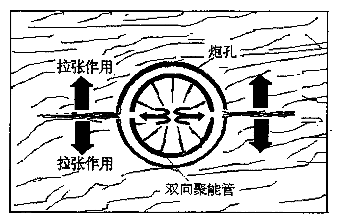 优菈核爆_核爆优菈阵容_优菈核爆手法