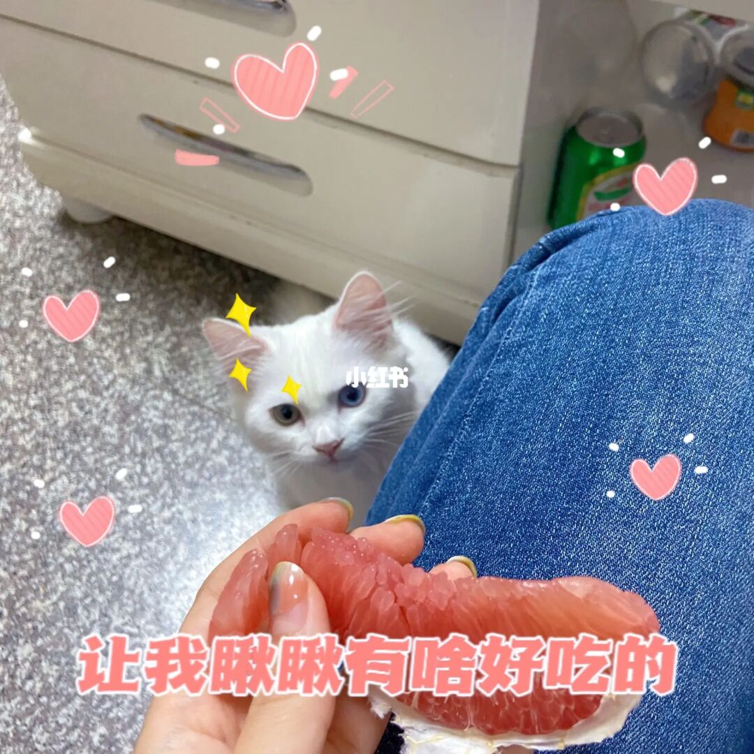 柚子猫视频_柚子猫视频_柚子猫视频