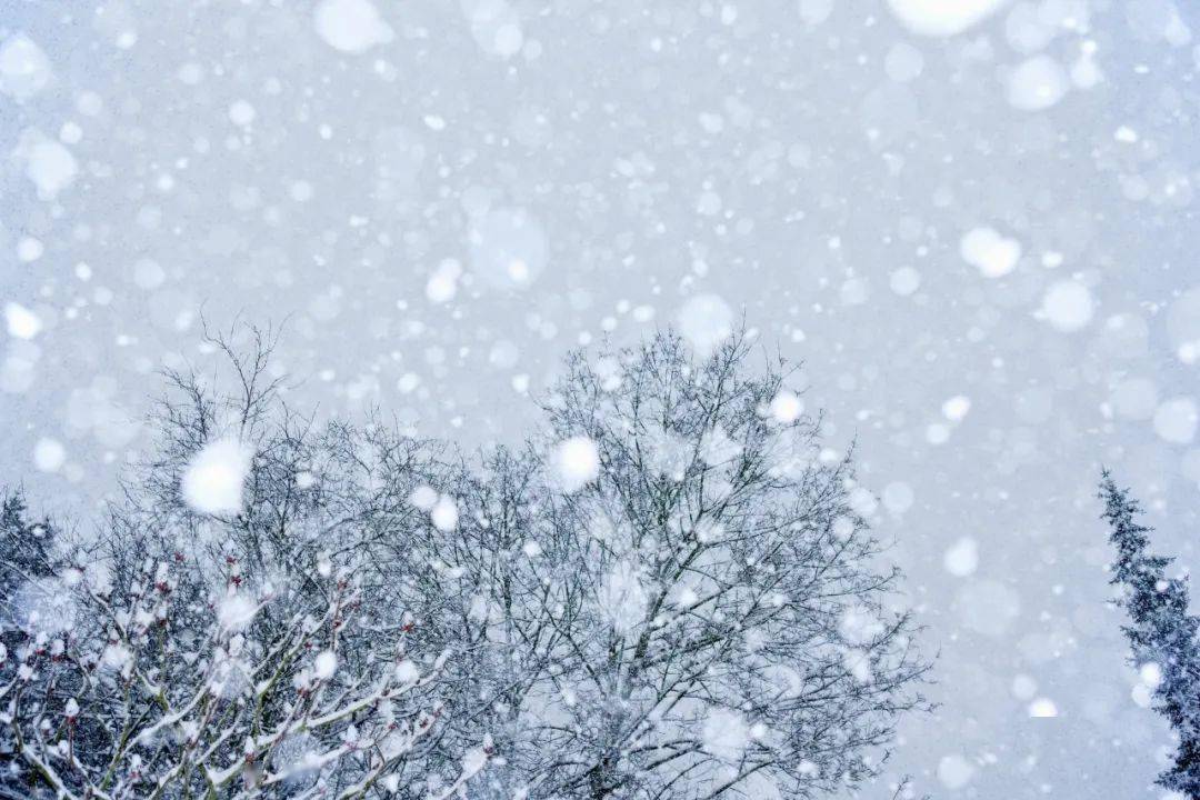 雪妖女_雪妖女性格配招_雪妖女种族值