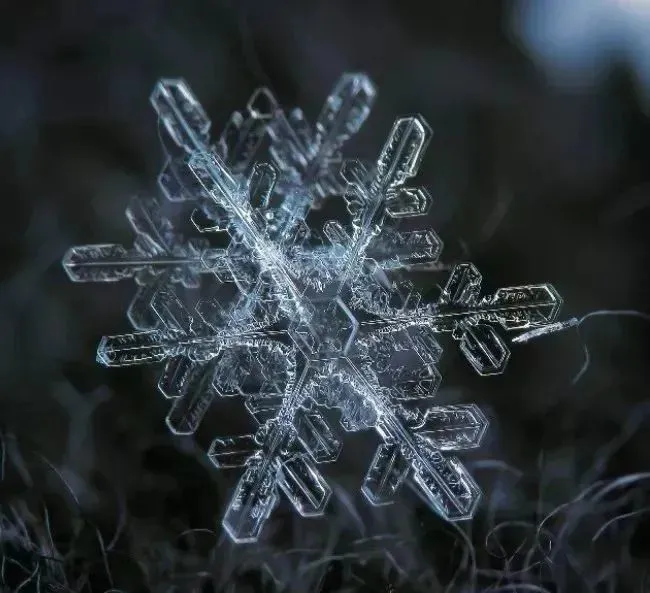 雪妖女_雪妖女种族值_雪妖女性格配招