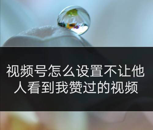 微信视频赞过取消_视频赞能取消微信看见点赞吗_微信视频号点赞又取消别人能看见吗