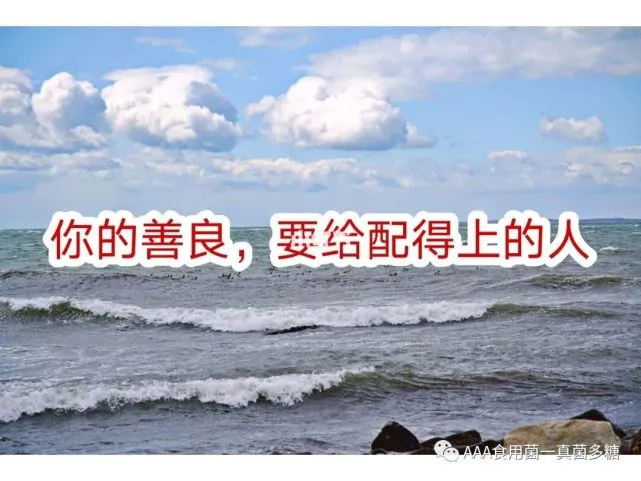 灾厄启示录达成率_灾厄启示录_灾厄启示录fami