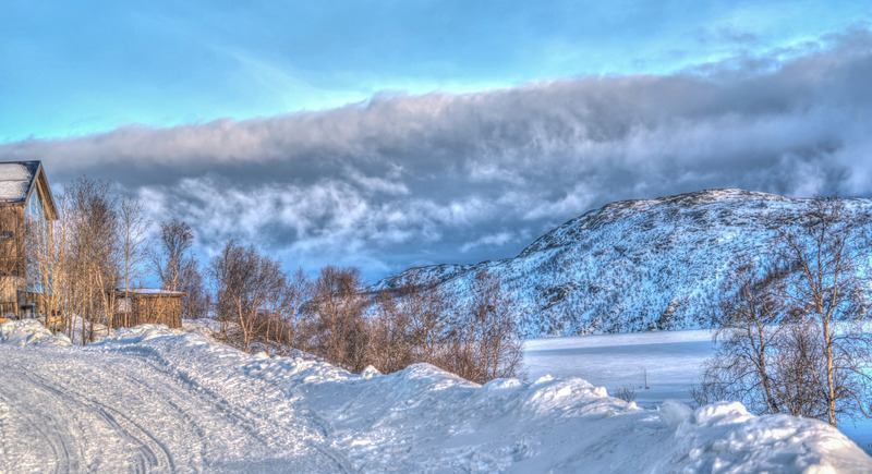 雪鹀_雪鹀_雪鹀