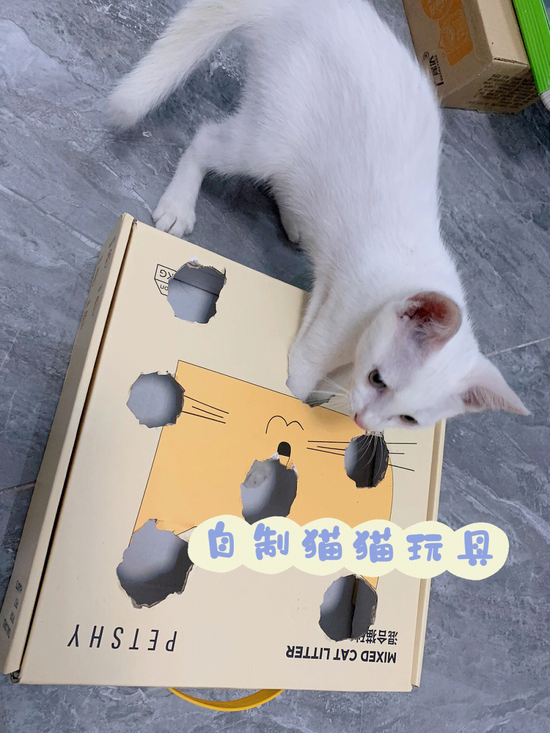 盒子猫咪适合玩手机游戏吗_适合猫咪玩的手机游戏盒子_盒子猫咪适合玩手机游戏嘛