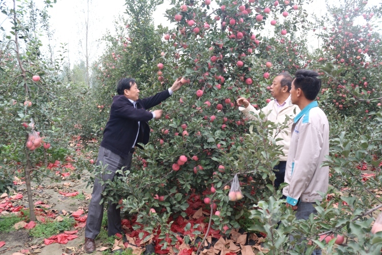 苹果运营游戏_苹果手机玩任务赚钱软件_苹果手机支持任务运行游戏