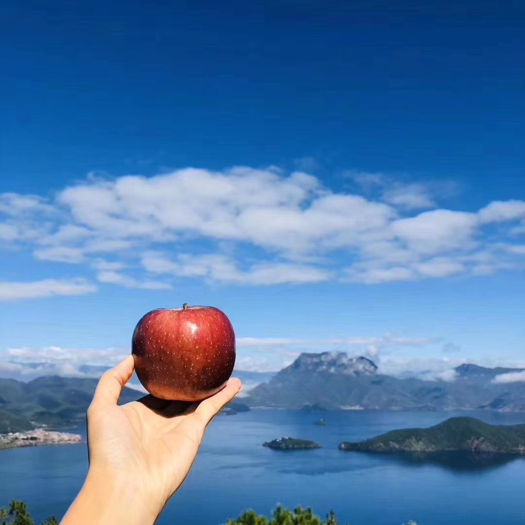 治愈的苹果手机游戏_苹果手机有什么治愈系游戏_苹果手机治愈系手机游戏