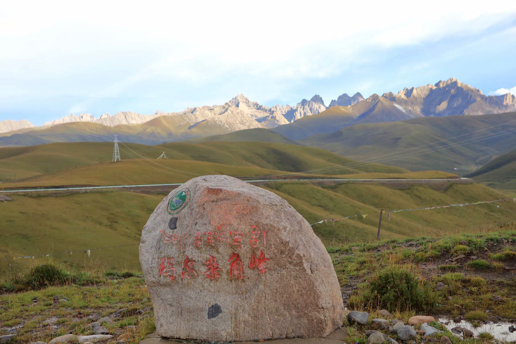 羊神山古茶园_羊神山古树茶_神山羊