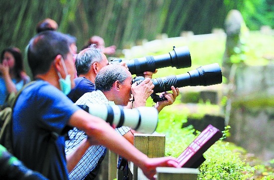 金元寿子_金元寿子黑历史_金元寿子中国留学学校