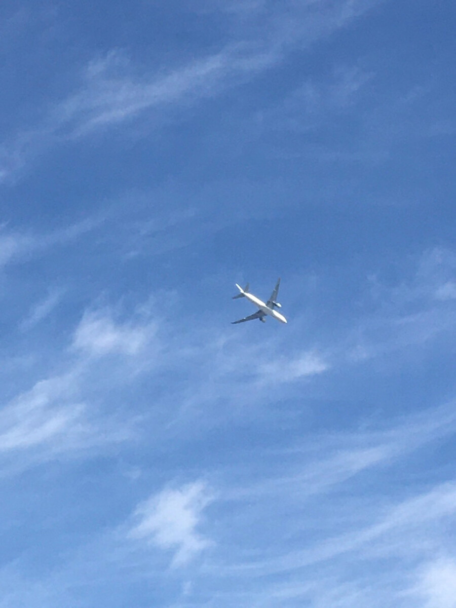 苹果飞行类游戏排行榜_iphone飞行游戏排行榜_苹果手机玩的飞行游戏推荐