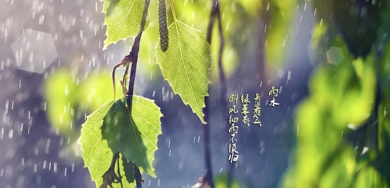 雨水节气的气候特点_雨水节气的特点和风俗_风俗雨水节气特点