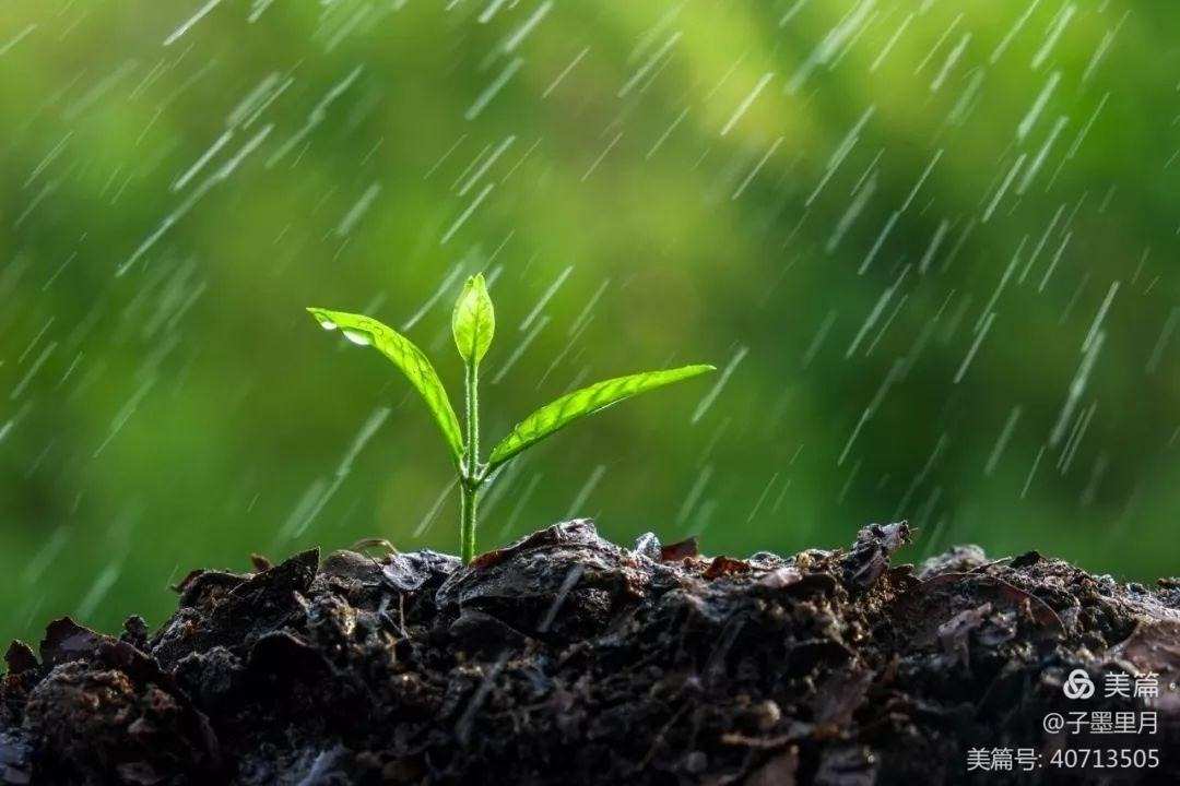 风俗雨水节气特点_雨水节气的特点和风俗_雨水节气的气候特点