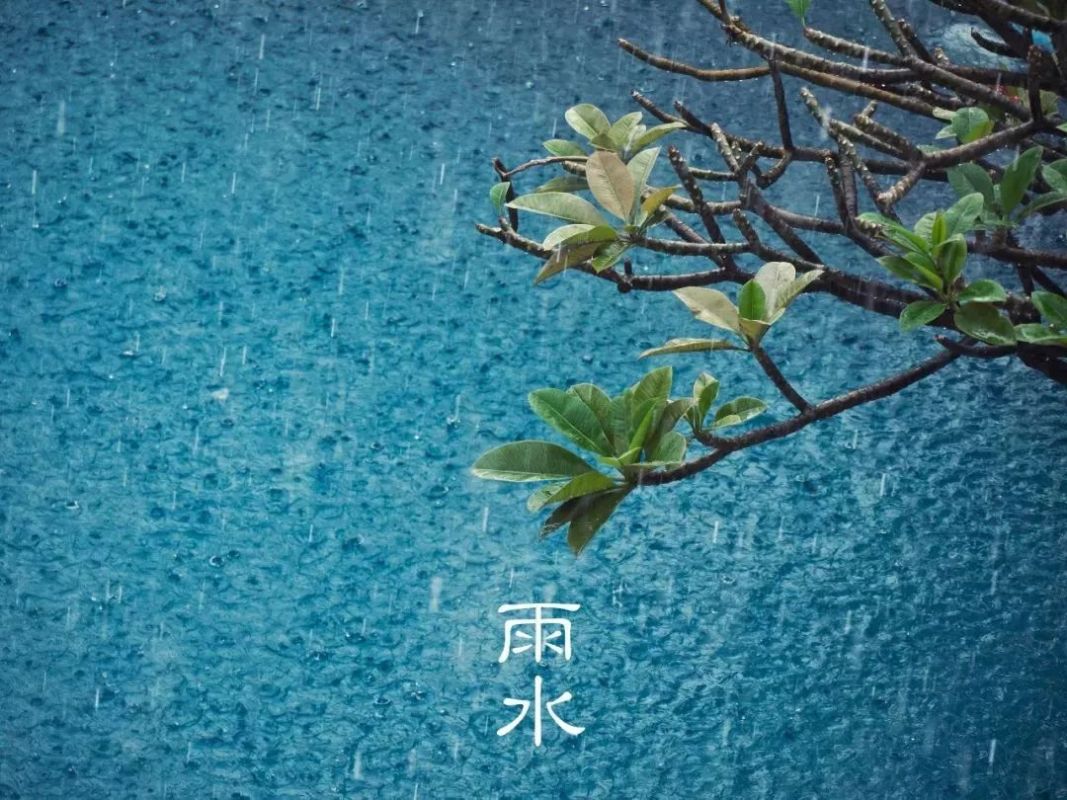 风俗雨水节气特点_雨水节气的气候特点_雨水节气的特点和风俗