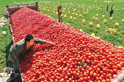 有什么手机收菜游戏_收菜的游戏有什么_好玩的收菜手游