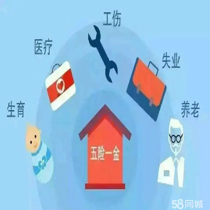 社保游戏app_社保手机游戏_社保的手机游戏