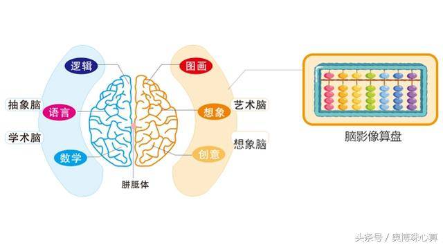 日本最强大脑手机游戏_最强大脑日本战队名单_最强大脑日本版