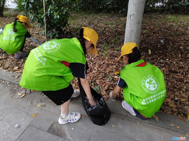 绿洲计划_绿洲计划紫色蘑菇怎么消灭_绿洲计划攻略