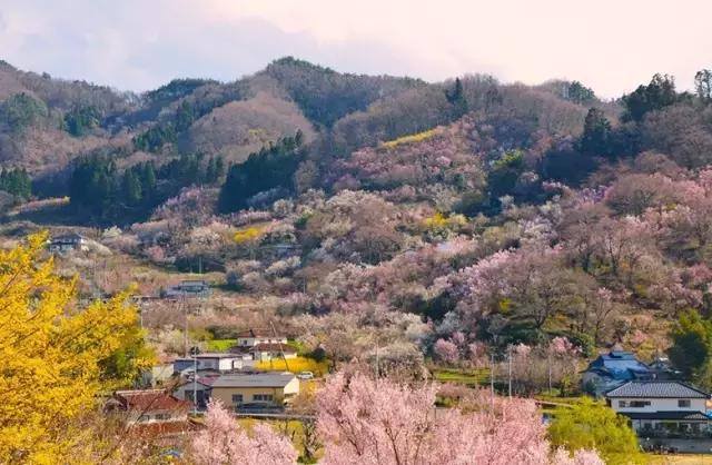 小野冢小町乳町_小野小町和歌_小野小町