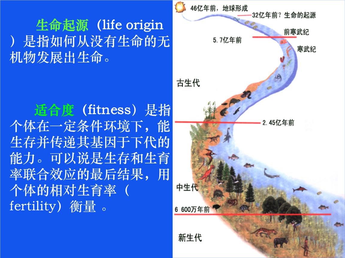 生存进化的游戏手机游戏-生存进化王者：挑战、对决、策略，让我