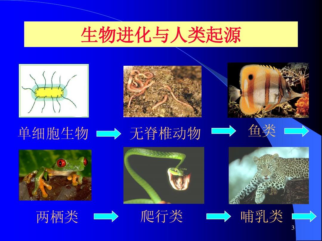 进化生存手机游戏_生存进化的游戏手机游戏_游戏进化生存手机怎么玩